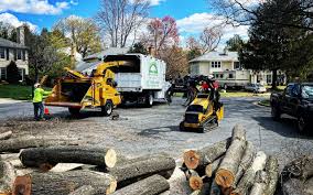 Best Tree Risk Assessment  in Whiting, WI